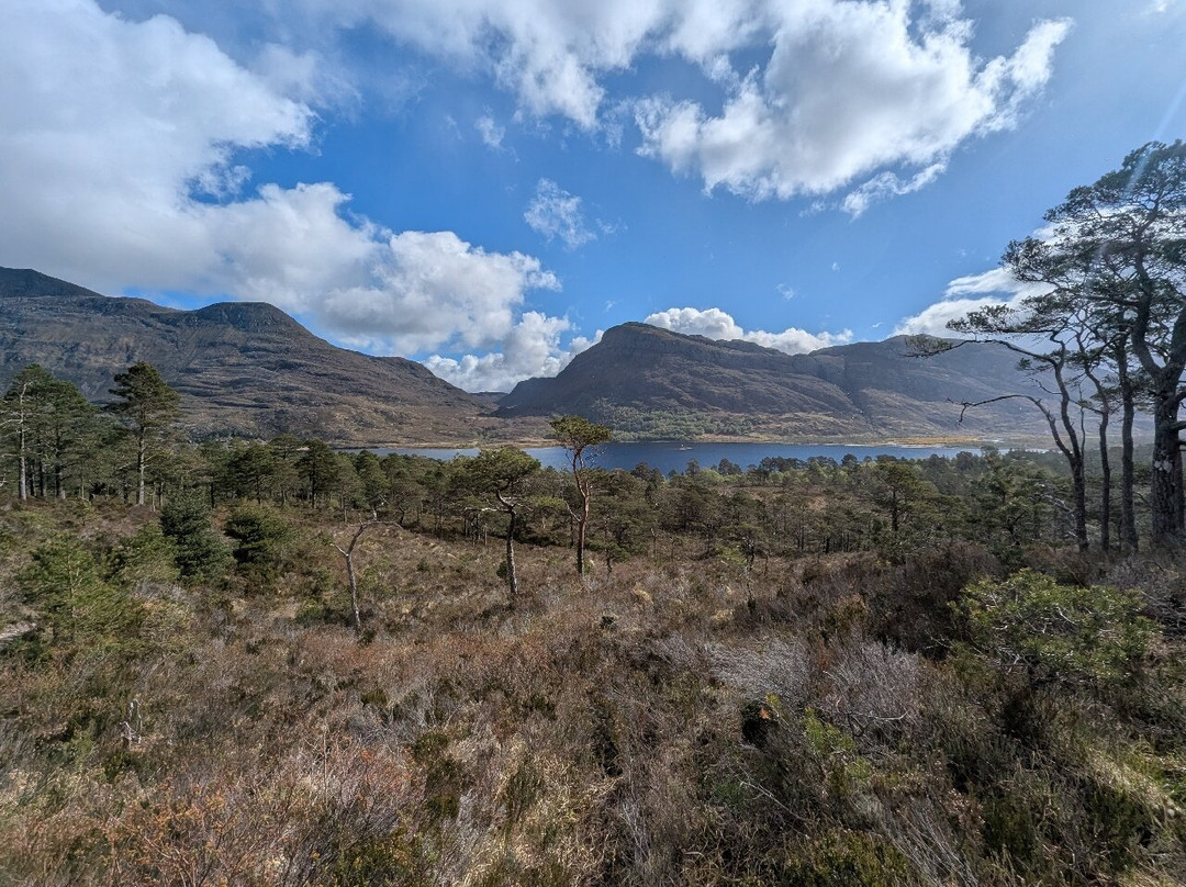 Kinlochewe Hotel主图