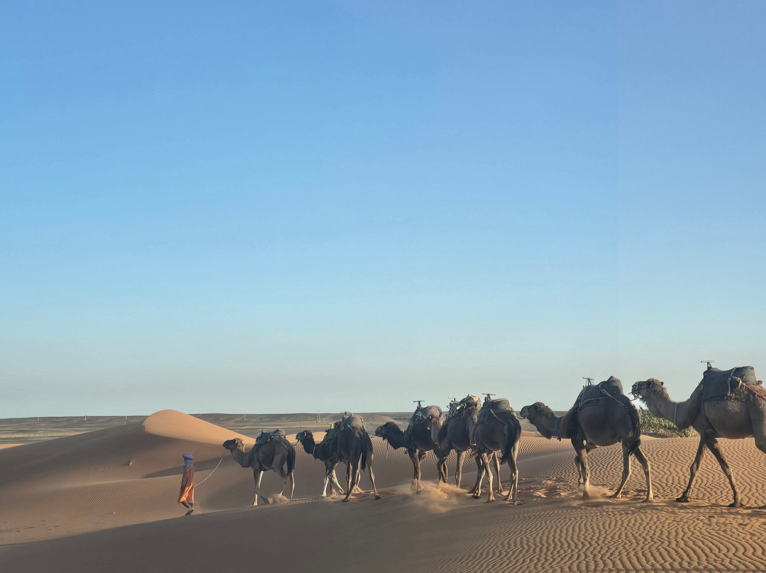 Redouane Sahara Tours 4x4-伊拉悉迪亚必去景点