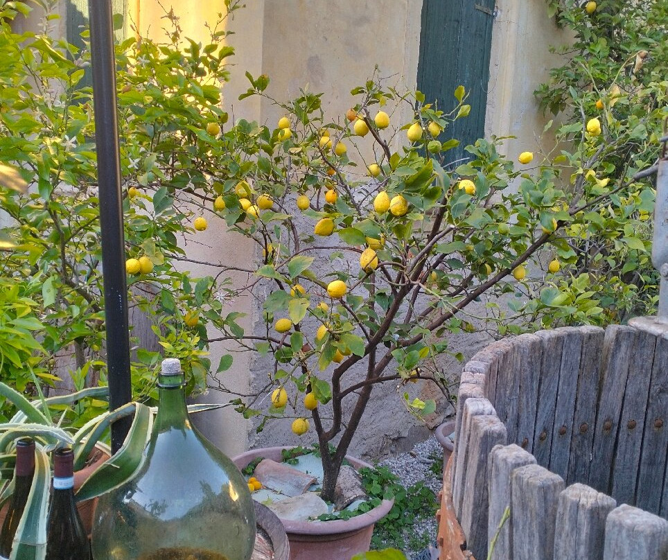 Villa Calicantus-Calmasino必去景点