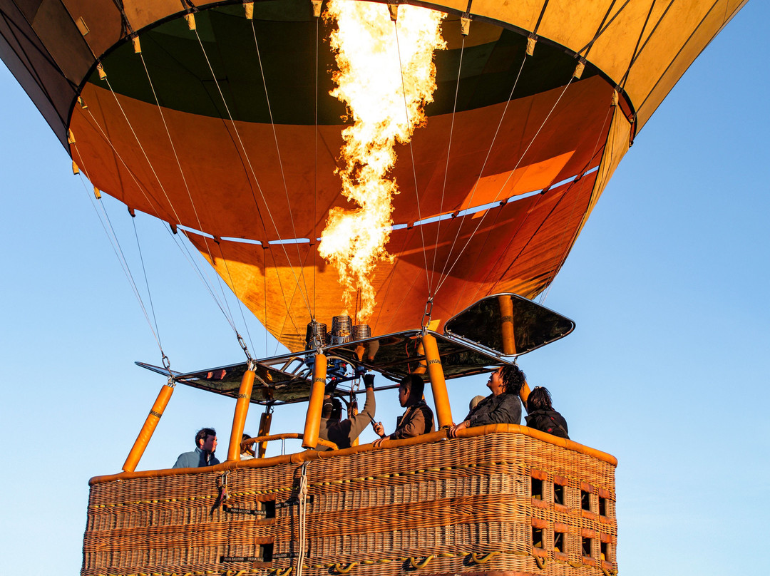 Nyssa Balloon Safaris-Seronera必去景点
