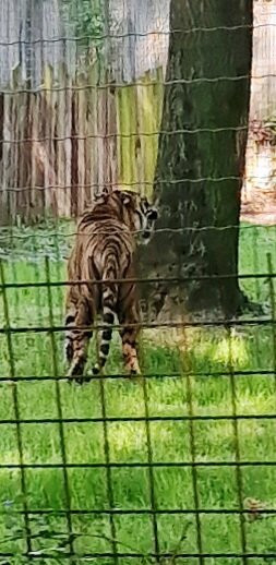 Parc Zoologique Cerza-Hermival-les-Vaux必去景点