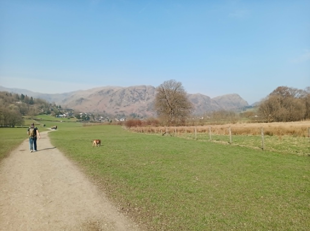 Coniston Park Coppice Caravan and Motorhome Club Campsite