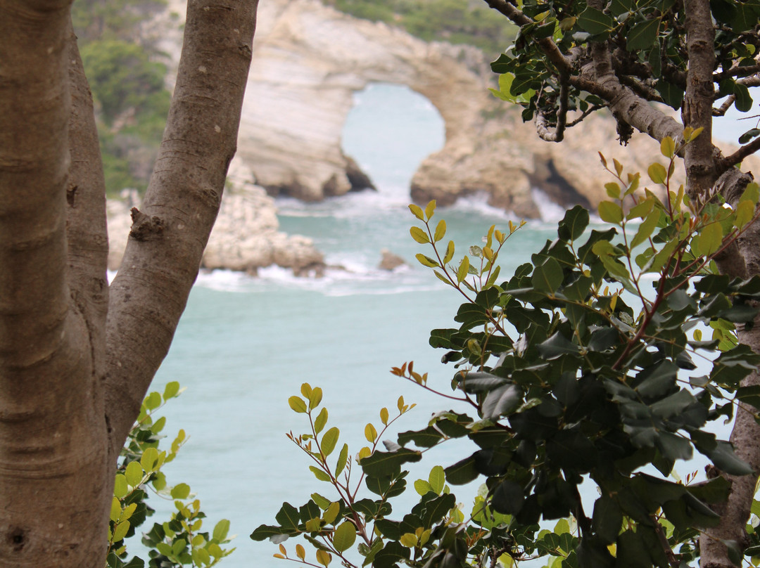 Arco di San Felice-维耶斯泰必去景点
