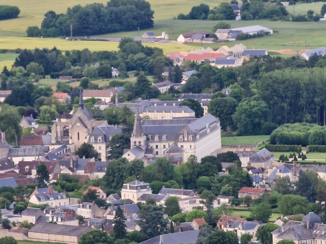 Art Montgolfieres-Saint-Georges-sur-Cher必去景点