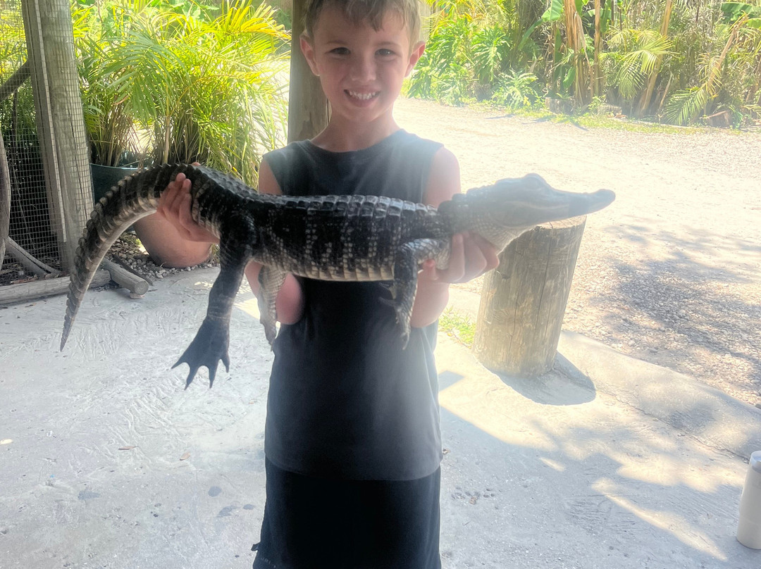 Croc Encounters-坦帕必去景点