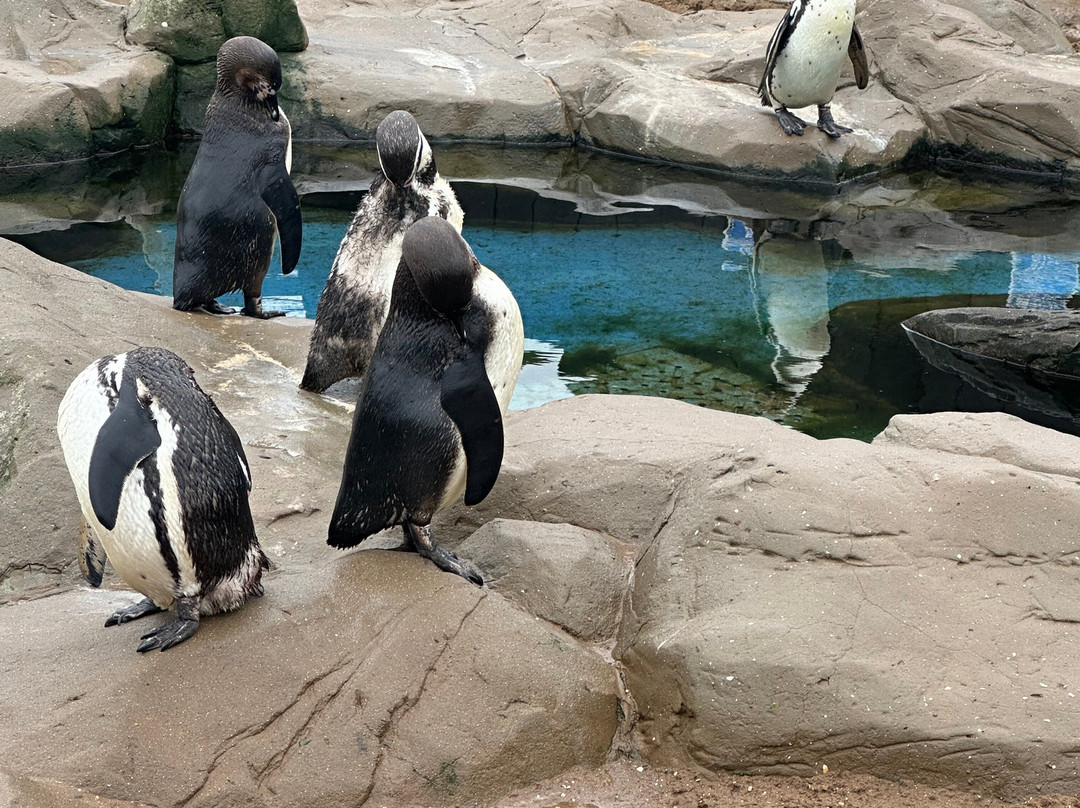 Sea Life Scarborough-斯卡伯勒必去景点