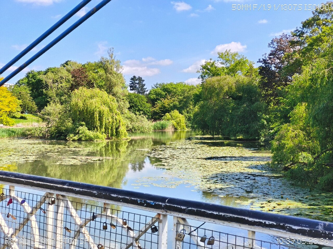 Mill Bridge and Weir