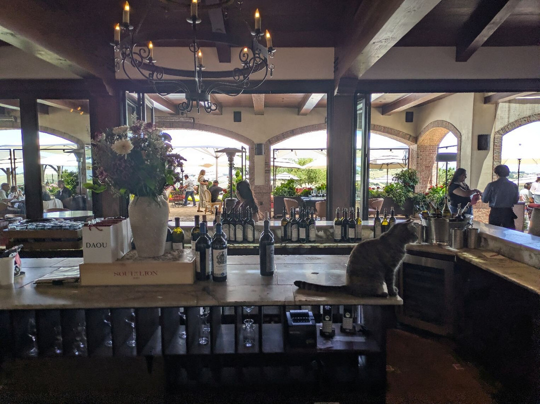 DAOU Vineyards-帕索罗布尔斯必去景点