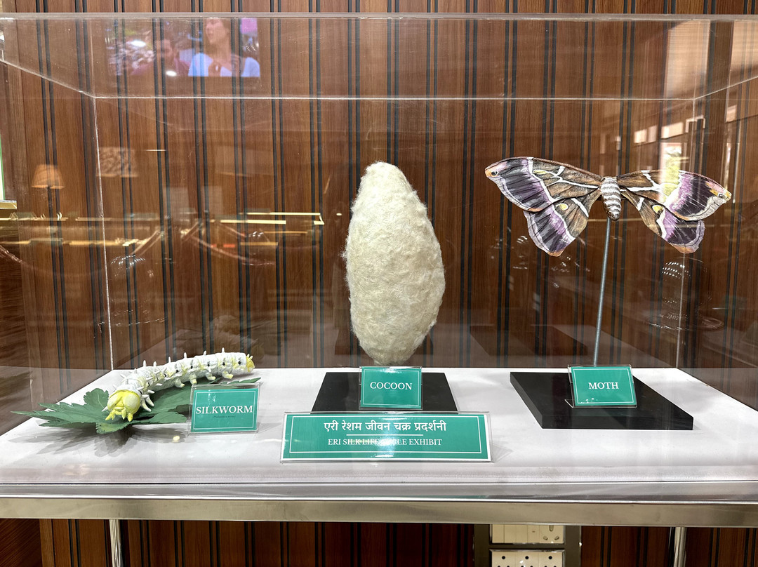 silk Interpretation Centre-潘恰玛必去景点