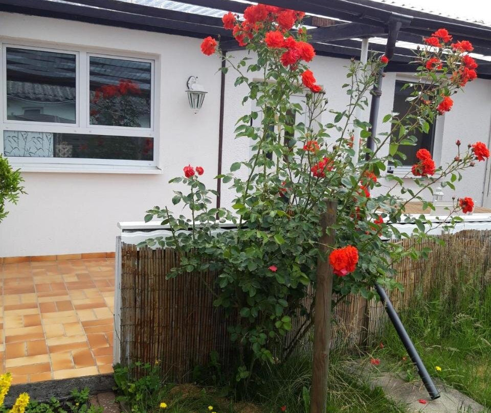Bungalow Usedom