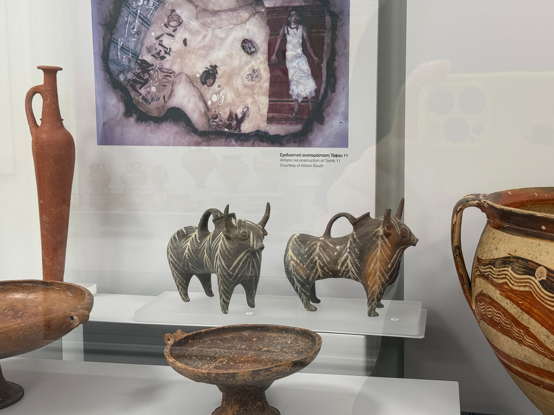 Larnaka District Archaeological Museum-拉纳加必去景点