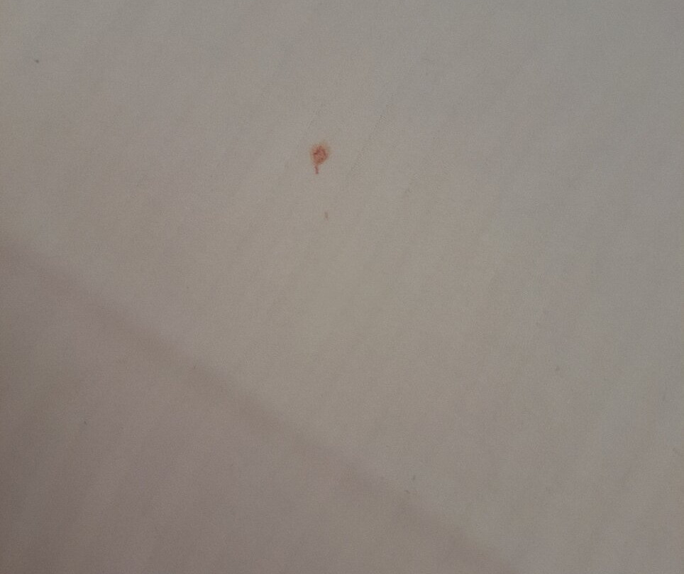 欣歌尼亚皇宫酒店主图