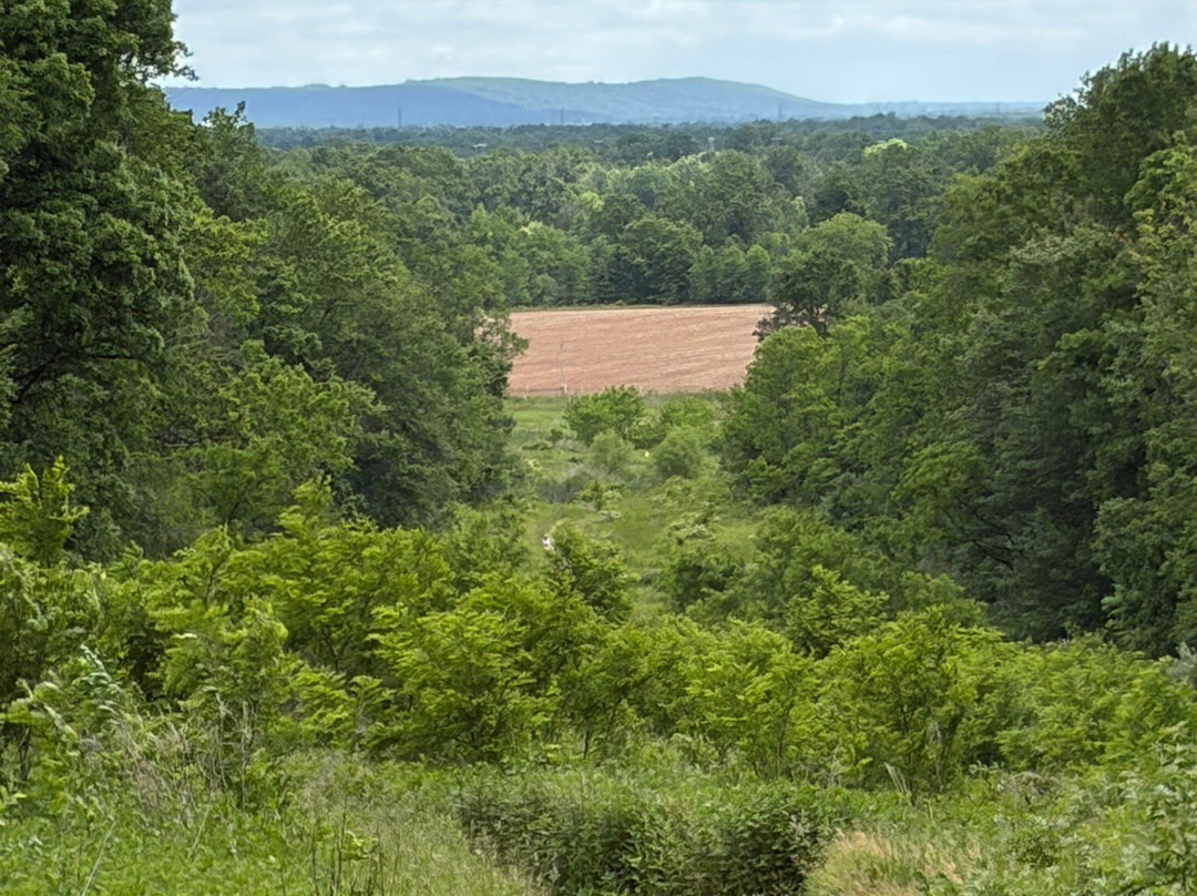 Sourland Mountain Preserve-希尔斯伯勒必去景点