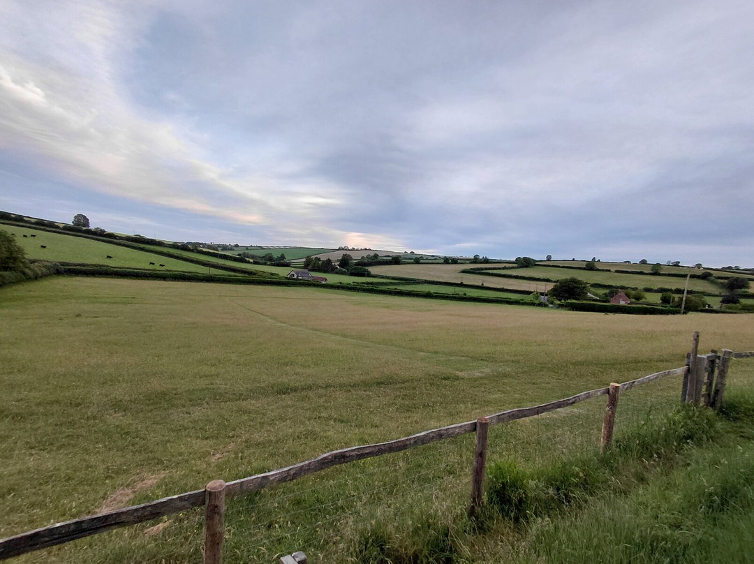 Badger Watch Dorset-Buckland Newton必去景点