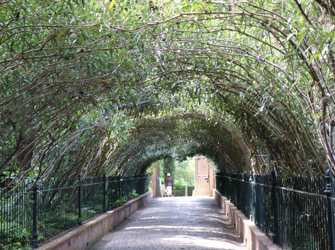 Fundacion Rodriguez Acosta-格拉纳达必去景点