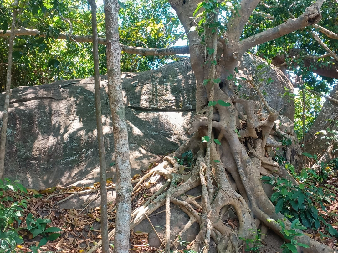 Dong Dinh Museum-Son Tra Peninsula必去景点