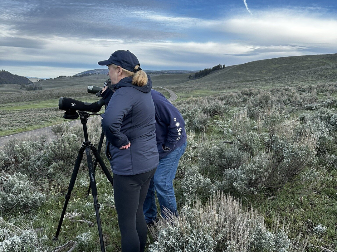 Yellowstone Wild-加德纳必去景点