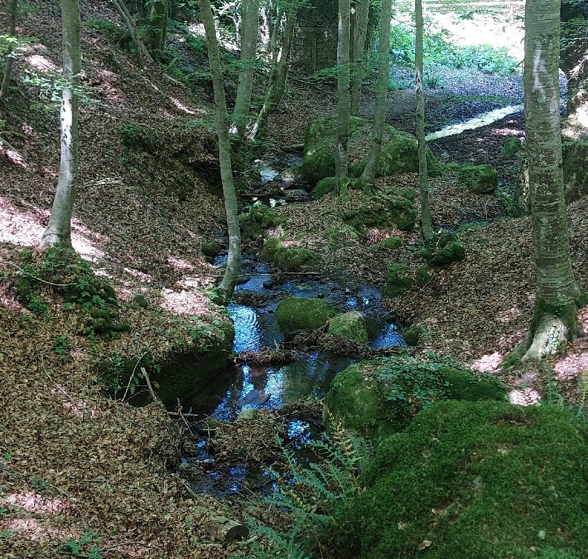 Parco Vivo Toscana-Vivo d'Orcia必去景点