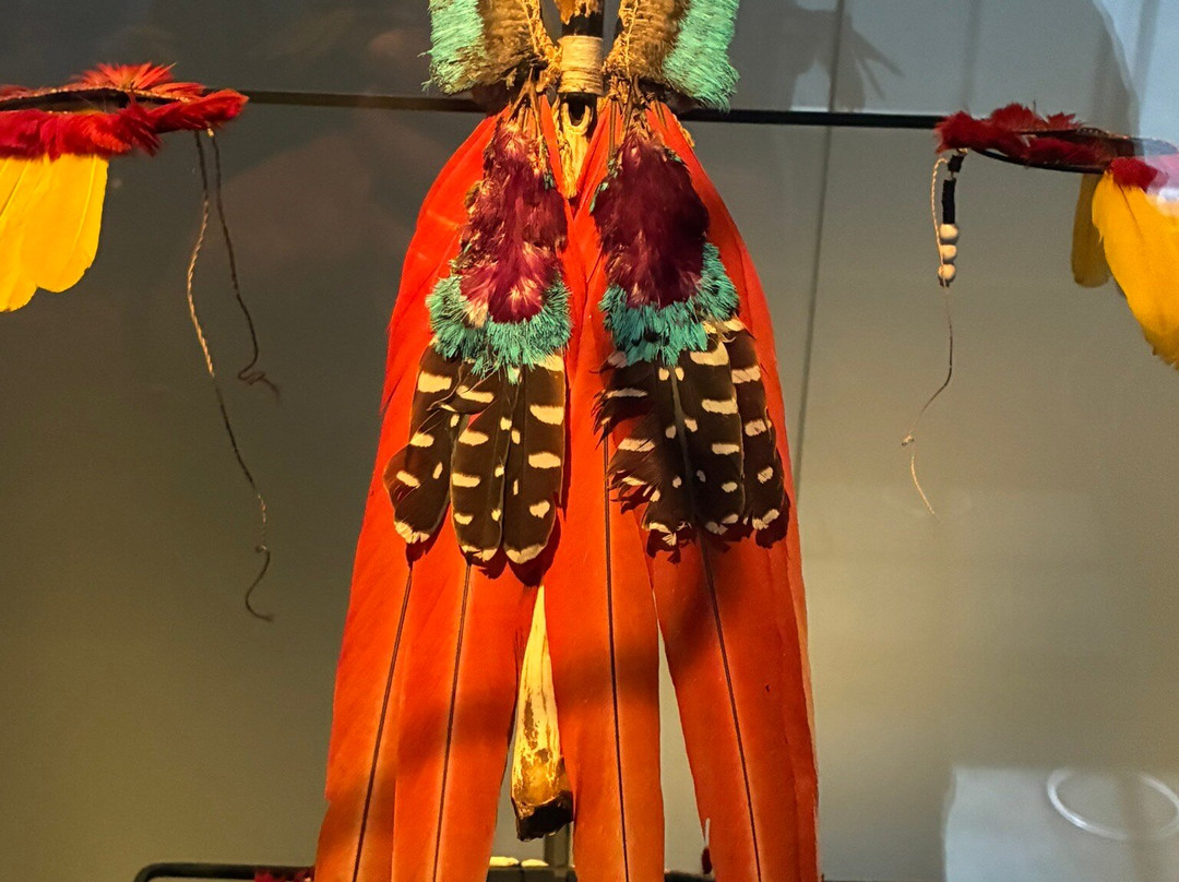 Wereldmuseum Leiden-莱顿必去景点