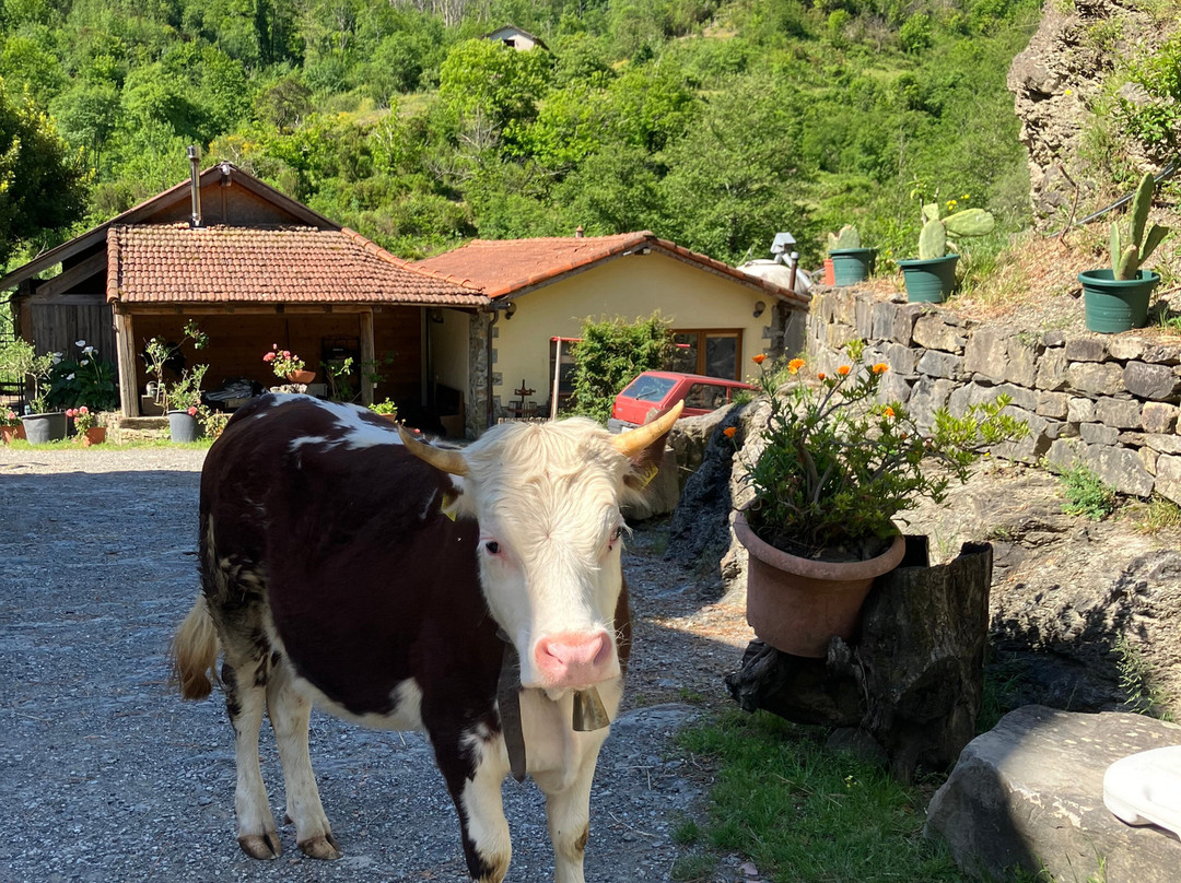 Agriturismo Valle Chiappella-San Colombano Certenoli必去景点