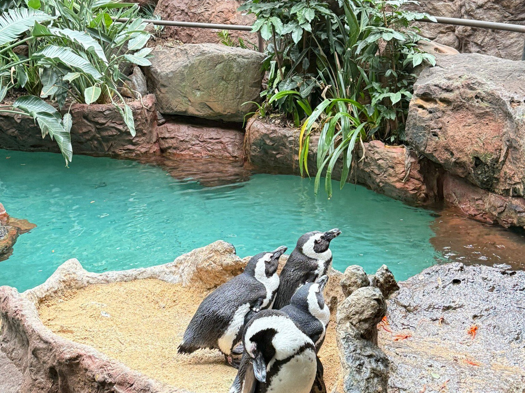达拉斯世界水族馆-达拉斯必去景点