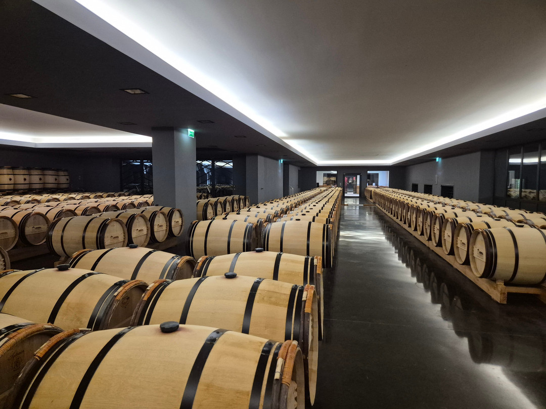 Chateau Talbot-Saint-Julien-Beychevelle必去景点