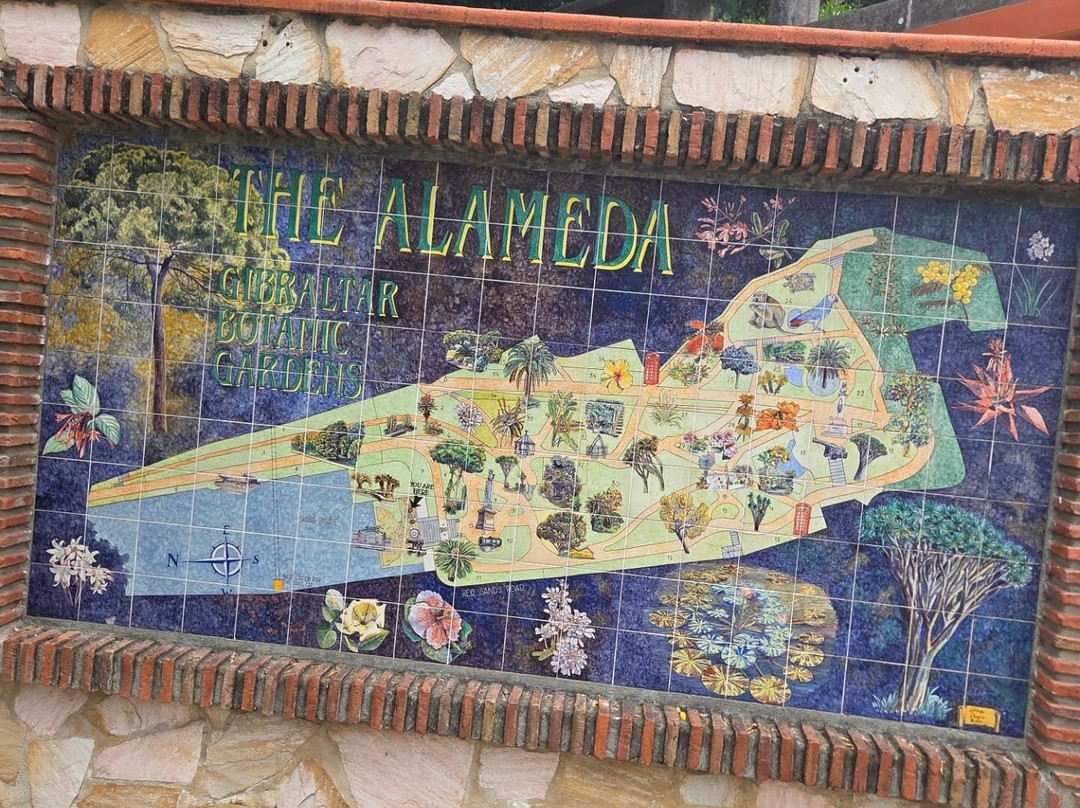 Gibraltar Botanic Gardens (The Alameda)-直布罗陀必去景点