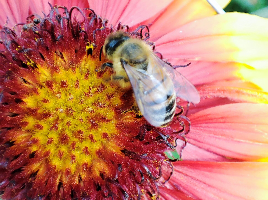 Giardino Vegetazionale "Astego"-Crespano del Grappa必去景点