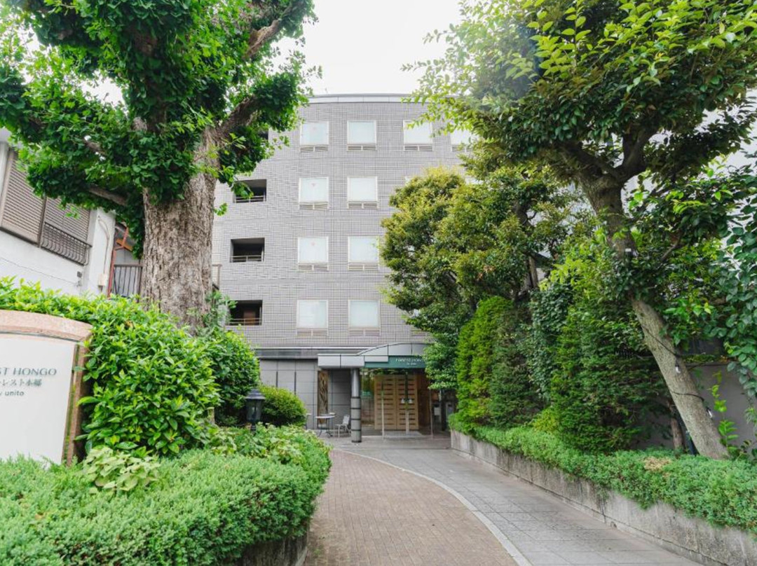 Forest Hongo by unito主图
