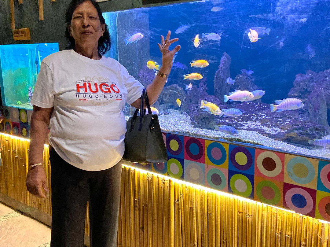 Aquarium Island Cafe Bhimtal-Bhimtal必去景点