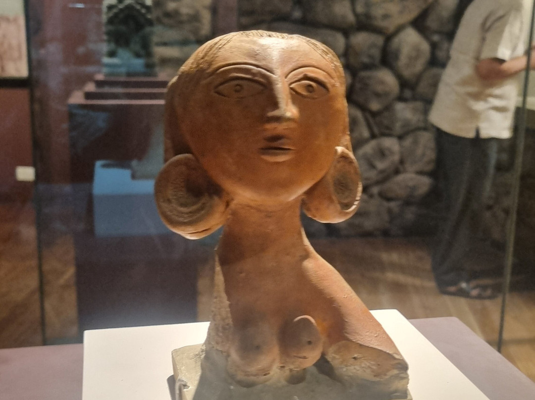 Bihar Museum-巴特那必去景点