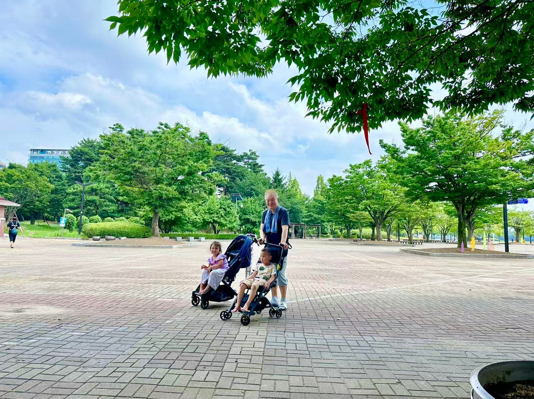 Ilsan Lake Park-高阳市必去景点