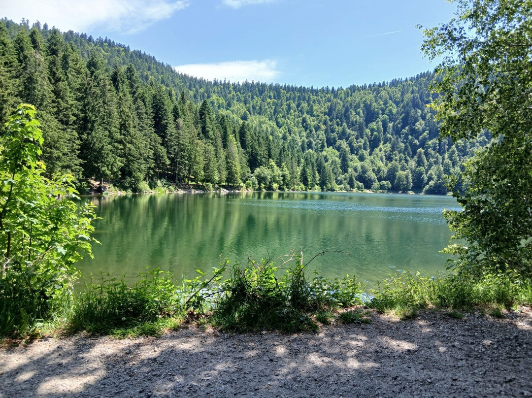 Lac de Lispach-La Bresse必去景点