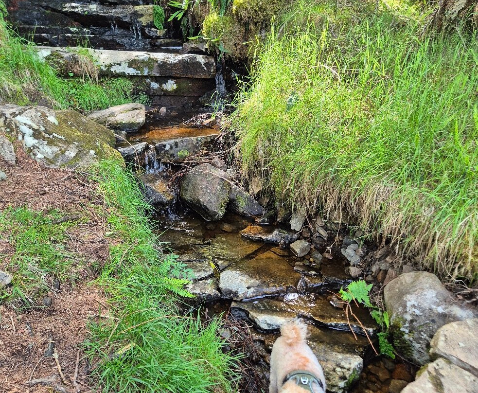 Corrieshalloch Gorge National Nature Reserve-阿勒浦必去景点