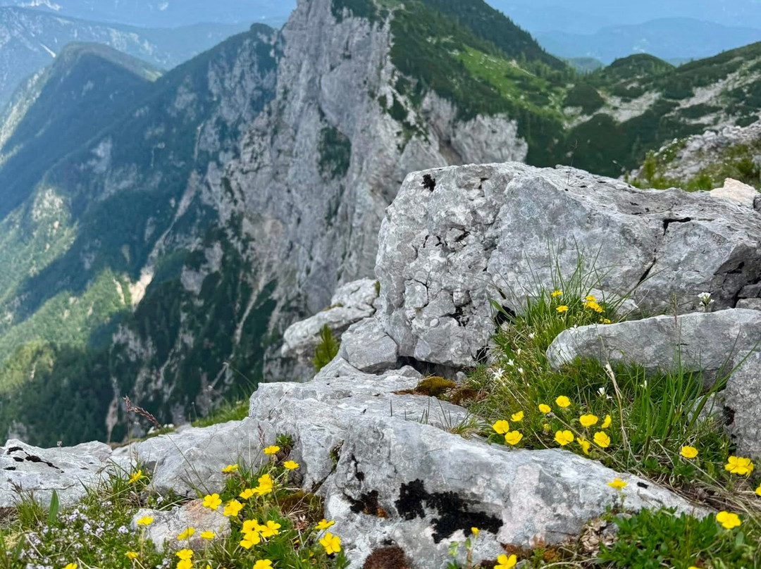 Exploring Slovenia-布莱德必去景点
