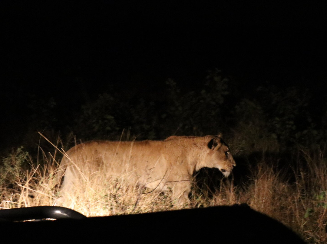 Umkumbe Safari Lodge主图