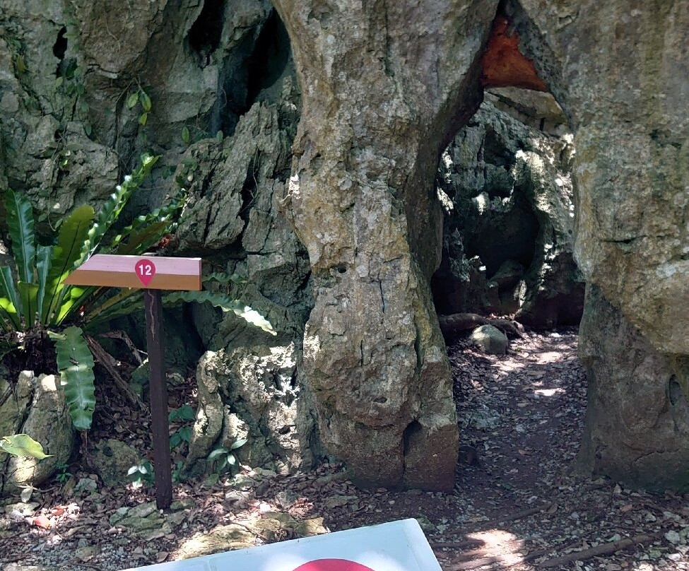 ASMUI Spiritual Hikes-国头村必去景点