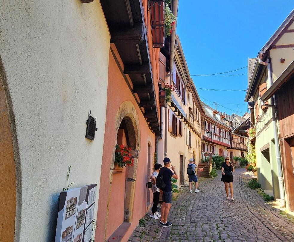 Colmar Bike Tours-科尔马必去景点