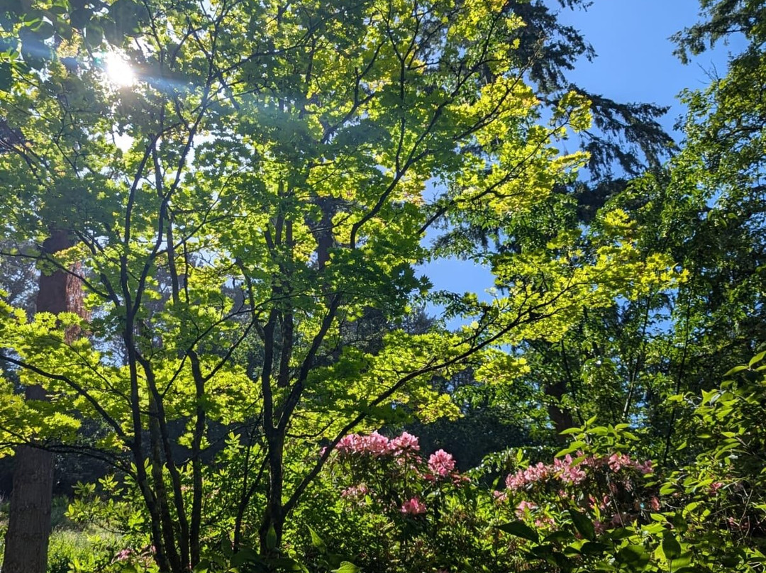 Bodnant Garden-Tal-y-Cafn必去景点