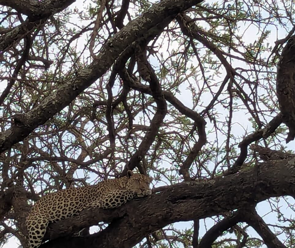 BADGER ADVENTURES TOURS & SAFARI-Arusha Chini必去景点