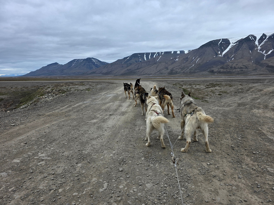 Green Dog Svalbard-朗伊尔城必去景点