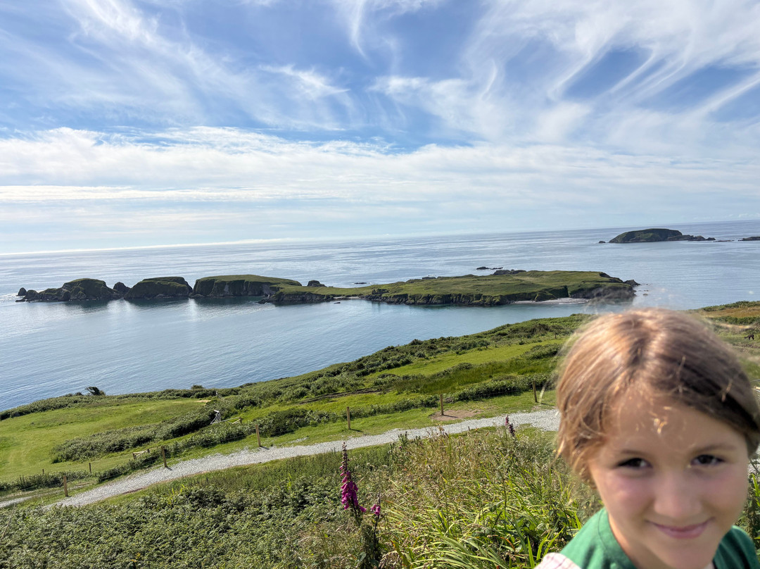 Seaside Alpacas West Cork-Union Hall必去景点