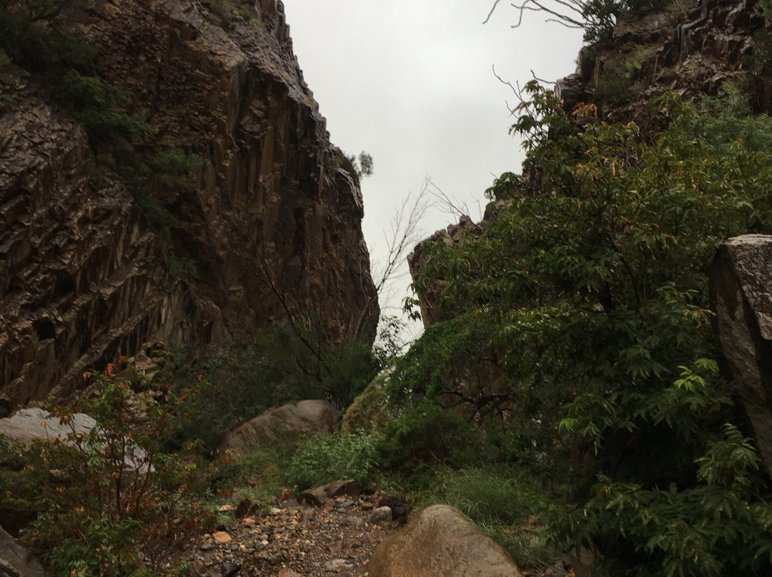 The Window Trail-大弯国家公园必去景点