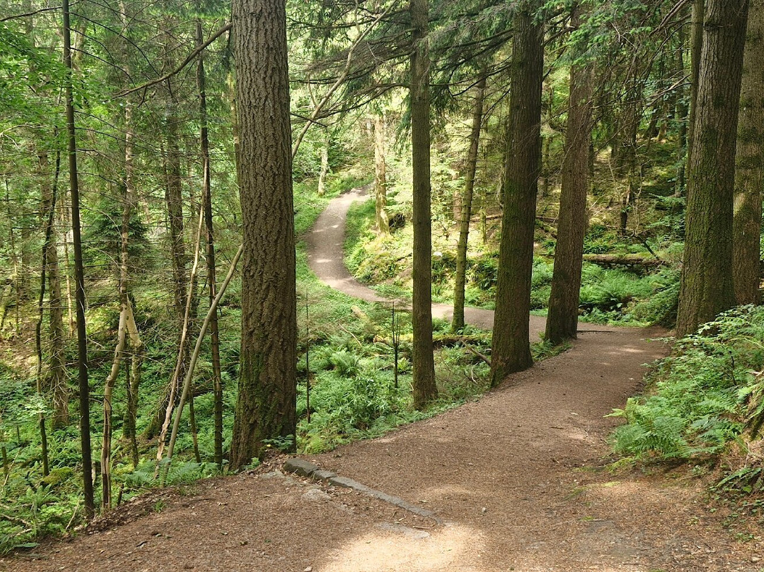 Glencoe Lochan-Glencoe Village必去景点