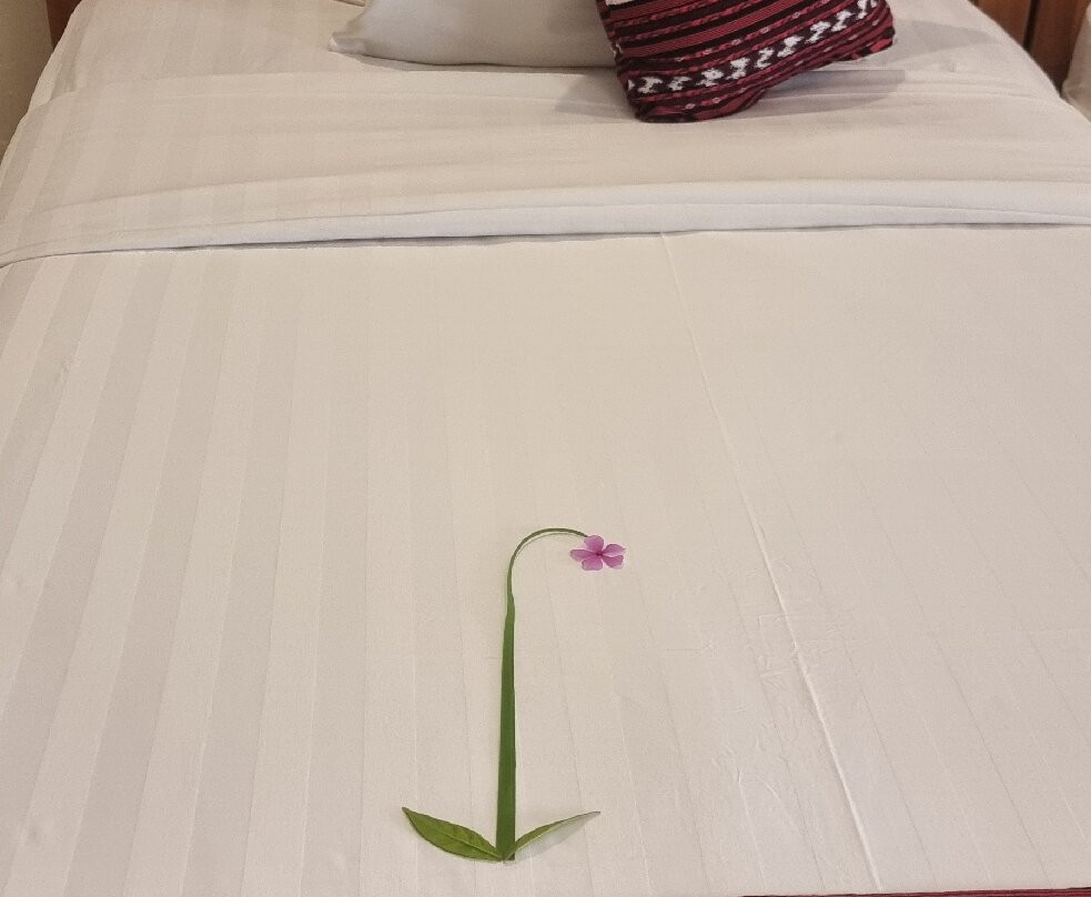 普里纱丽海滩酒店主图