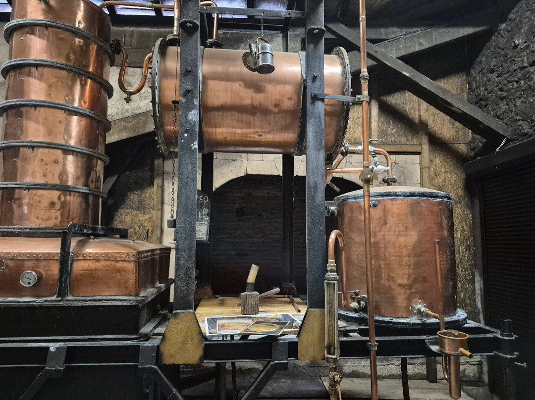 Domaine de Lagajan-Eauze必去景点