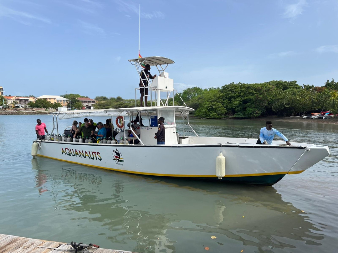 Aquanauts Grenada-True Blue必去景点