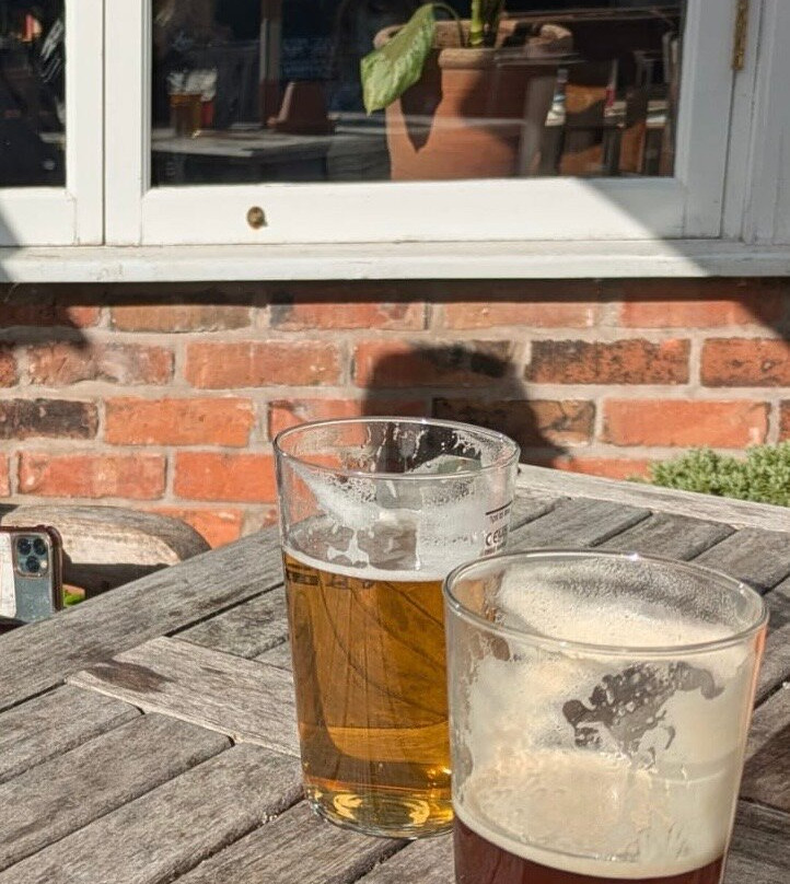 The Swan
