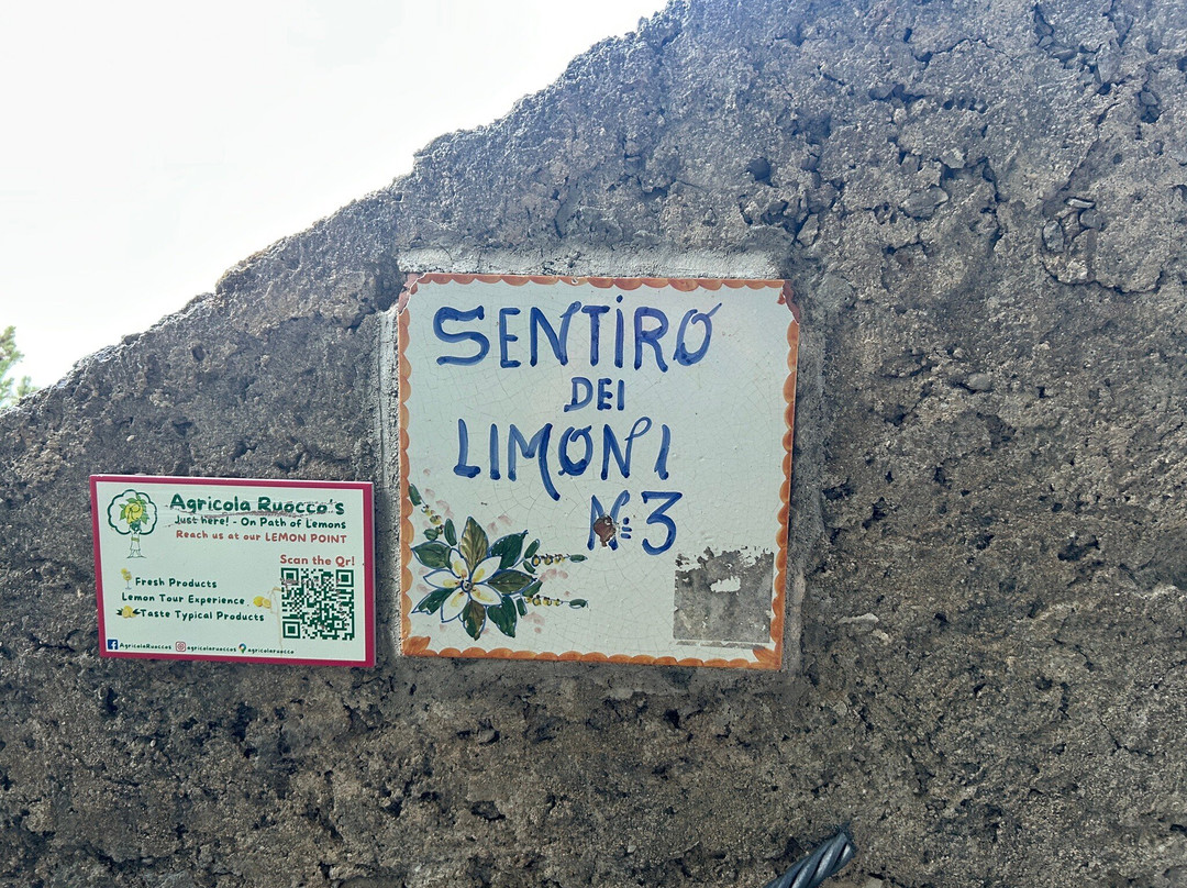 Sentiero dei Limoni-马奥莱必去景点