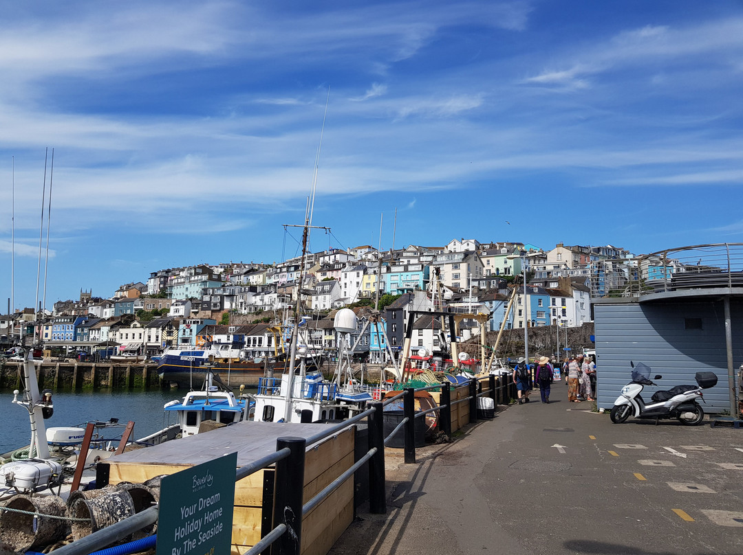 Brixham Harbour-布里克瑟姆必去景点